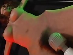 Кішкентай азиялық байланыстырды және забавлялся