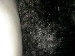 Үлкен бұта Мари